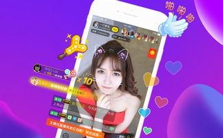 成人圣诞围巾直播视频,成人圣诞围巾潮流风尚,温暖冬日时尚指南