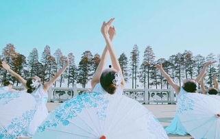 彝族舞蹈成人舞考级视频,传承民族韵律,展现青春风采