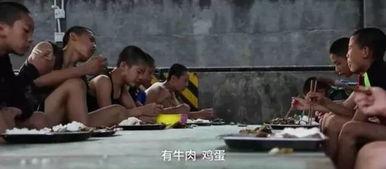 成人搏击的真实视频