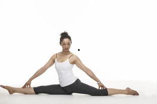 成人胖子劈叉视频在线观看,在线观看教学视频,轻松解锁柔韧性新境界