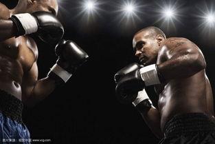 音乐拳击靶成人专用视频