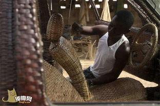 非洲成人另类视频播放